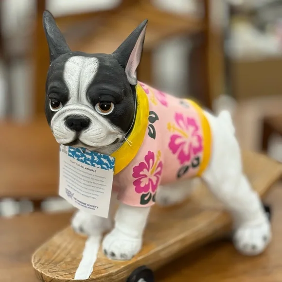FRENCHIE RIDING SKATEBOARD